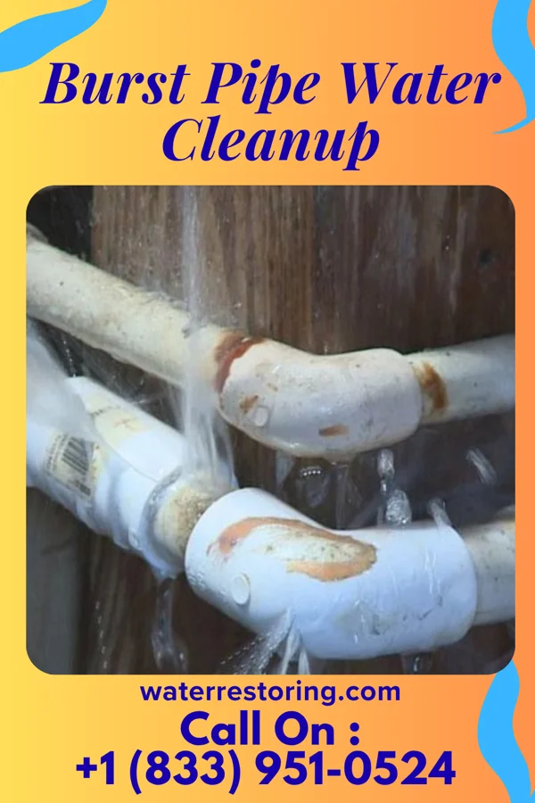 Burst Pipe Water Cleanup in Spring Lake, NJ