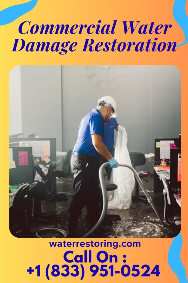 Commercial Water Damage Restoration in Spring Lake, NJ