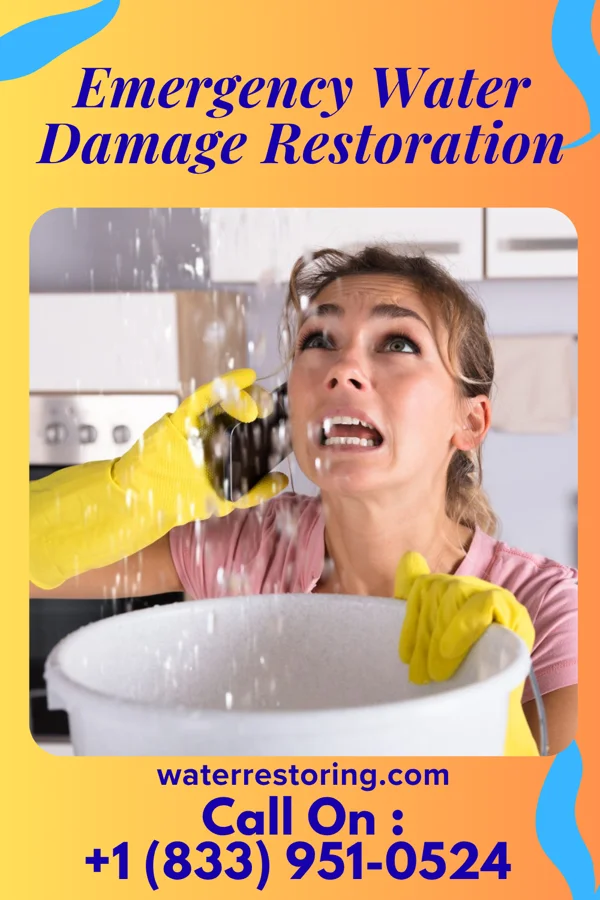 Emergency Water Damage Restoration in Spring Lake, NJ