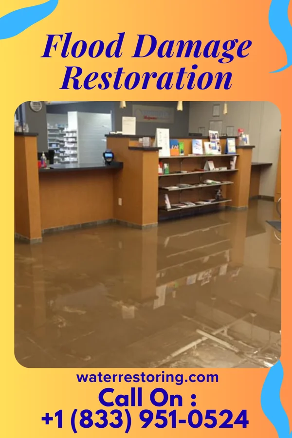 Flood Damage Restoration in Spring Lake, NJ