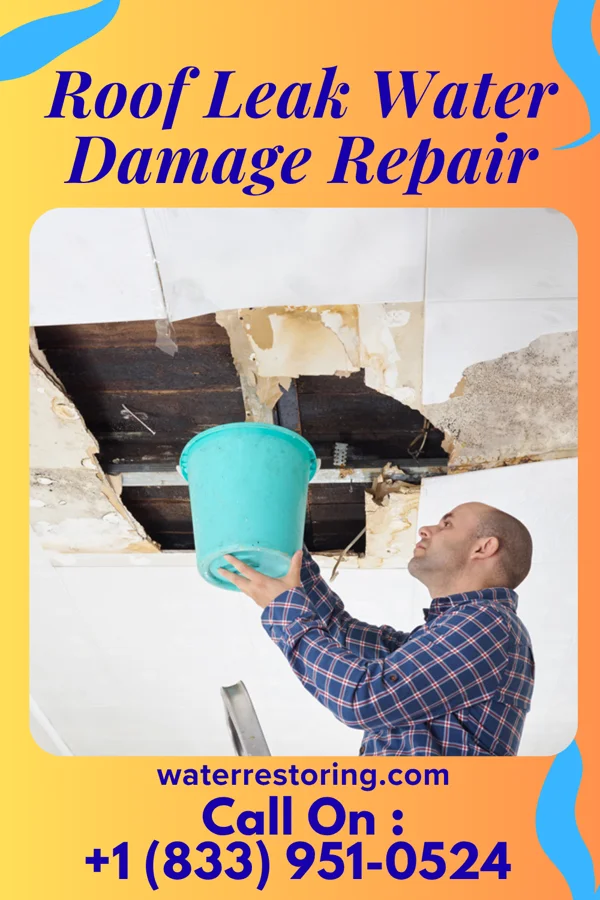 Roof Leak Water Damage Repair in Spring Lake, NJ