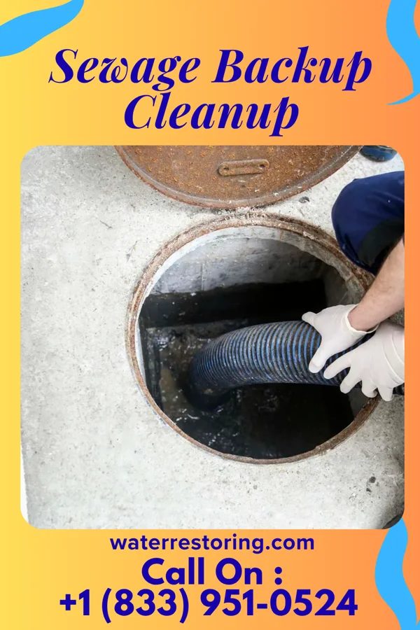 Sewage Backup Cleanup in Spring Lake, NJ