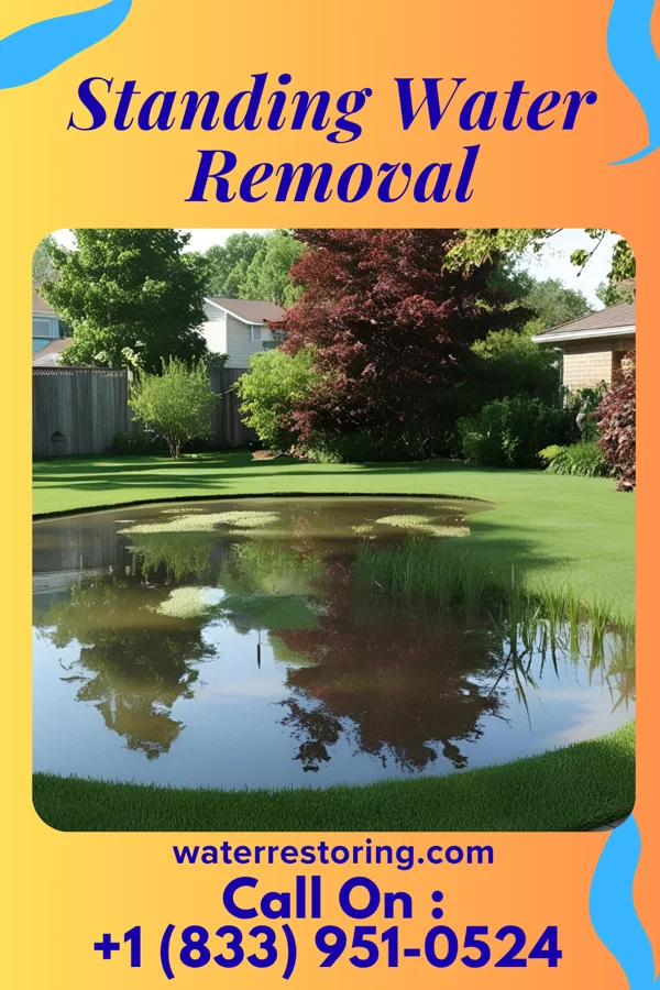 Standing Water Removal in Spring Lake, NJ